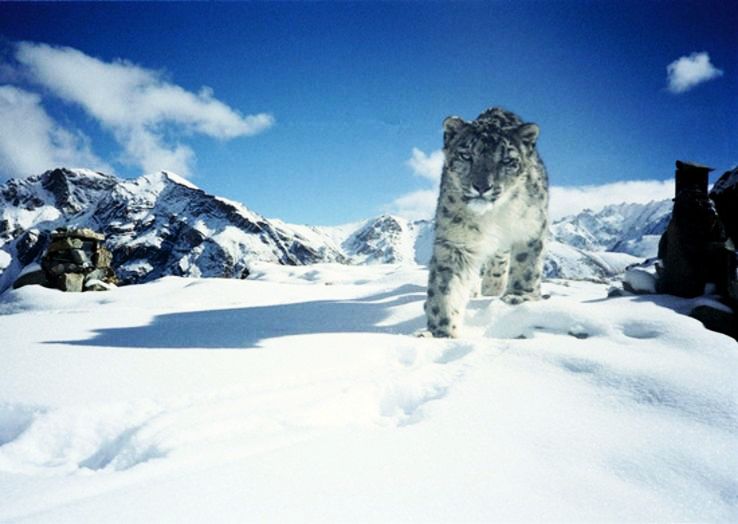 14- Hemis National Park